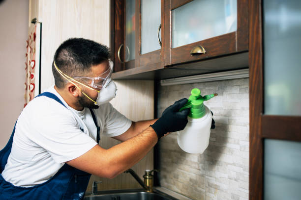 Professional Pest Control in Kenedy, TX