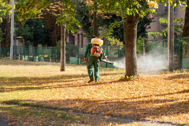 Best Best Pest Control Companies  in Kenedy, TX