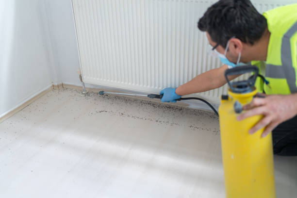 Best Flea Control Services  in Kenedy, TX